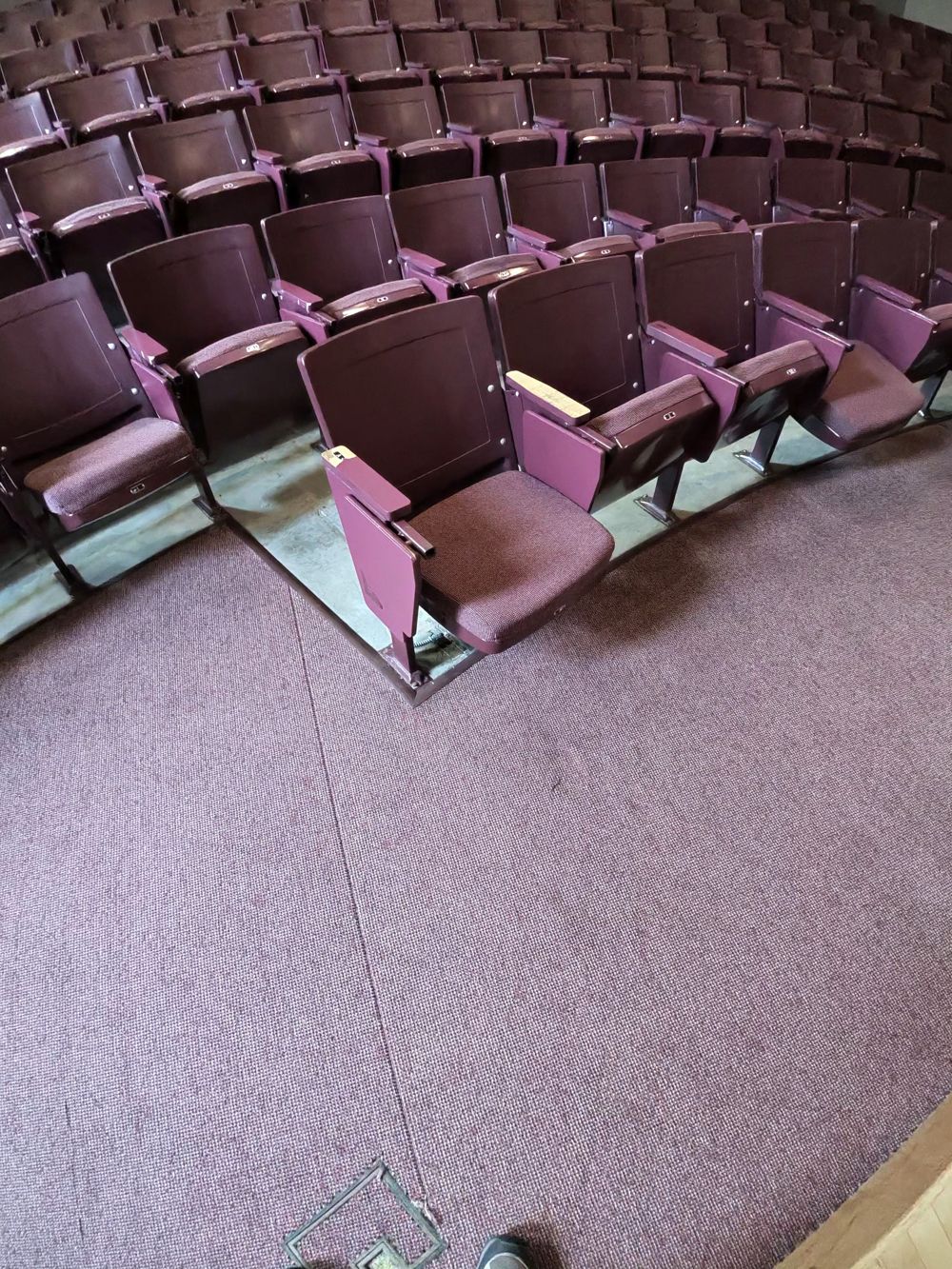 Close-up of rows of mauve upholstered seats
